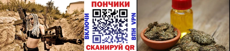 Купить закладку Cocaine  Канабис  МЕФ  Гашиш  Лесозаводск