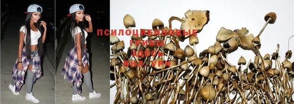 тгк Зеленокумск